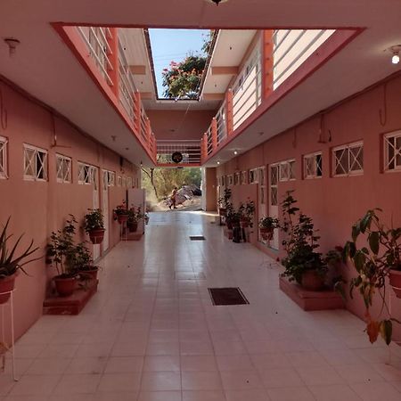 瓦哈卡艾克莱博斯酒店 Oaxaca 外观 照片