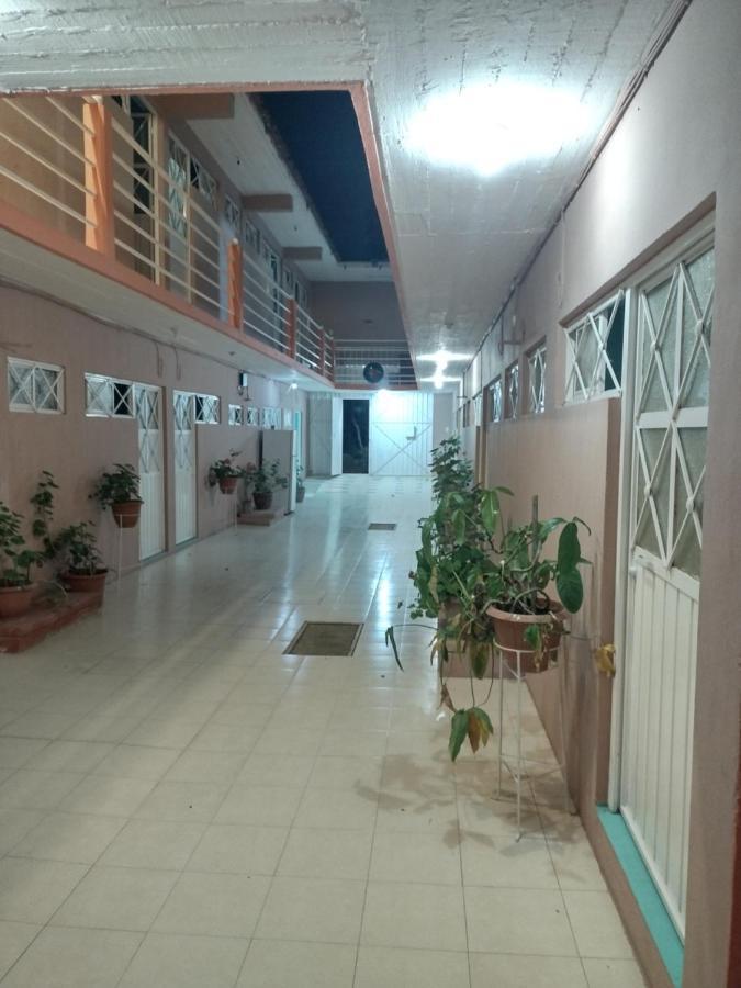 瓦哈卡艾克莱博斯酒店 Oaxaca 外观 照片